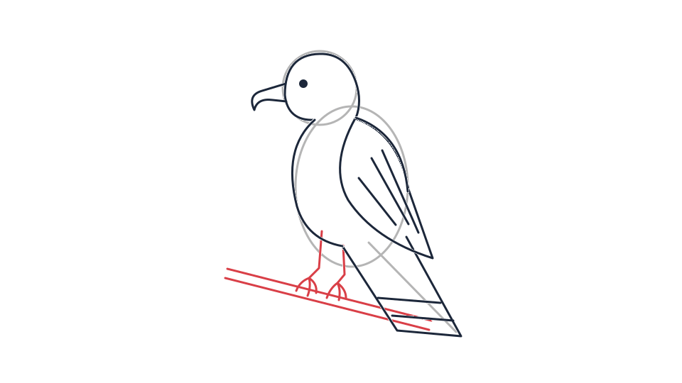 Everglades snail kite drawing tutorial: a perched bird in 6 steps — step 5: Add feet gripping a branch