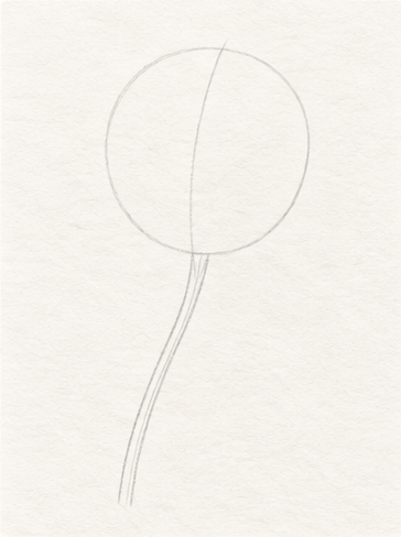 How to draw a rose, step 1: Place the flower with a light guide