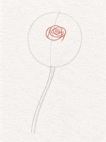 How to draw a rose, step 2: Draw a loose curl for the rose center
