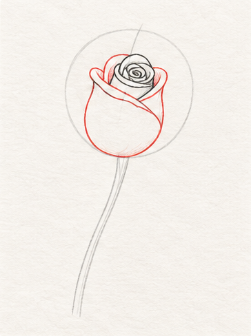 How to draw a rose, step 3: Wrap a cup-shaped petal around the center