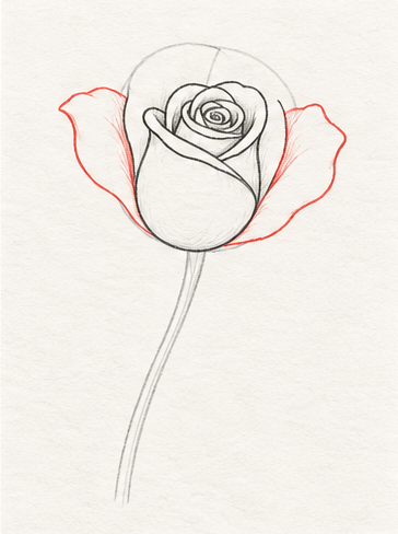 How to draw a rose, step 4: Add two overlapping side petals