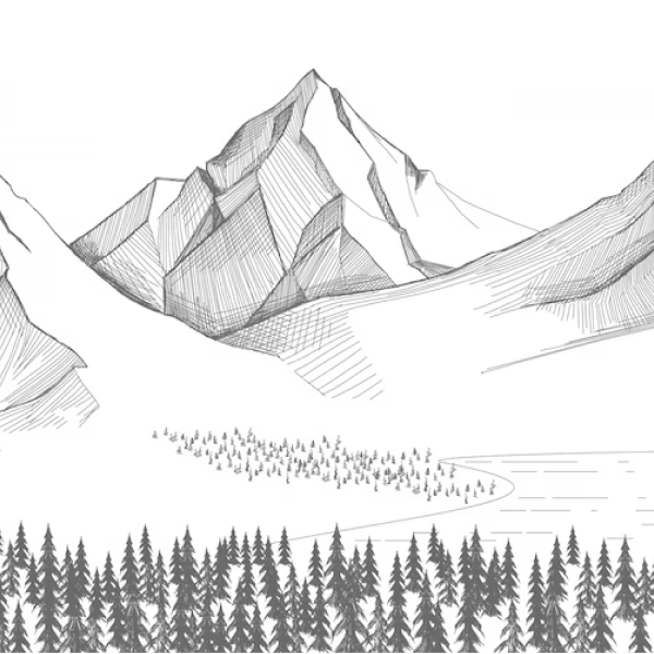 Nature drawing reference 10