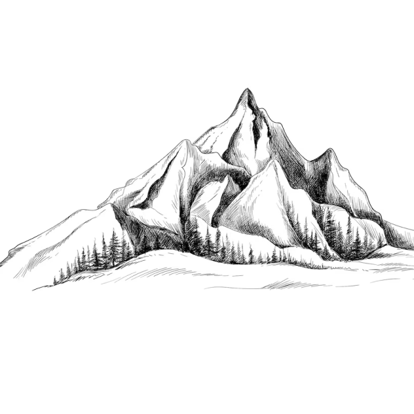 Nature drawing reference 13