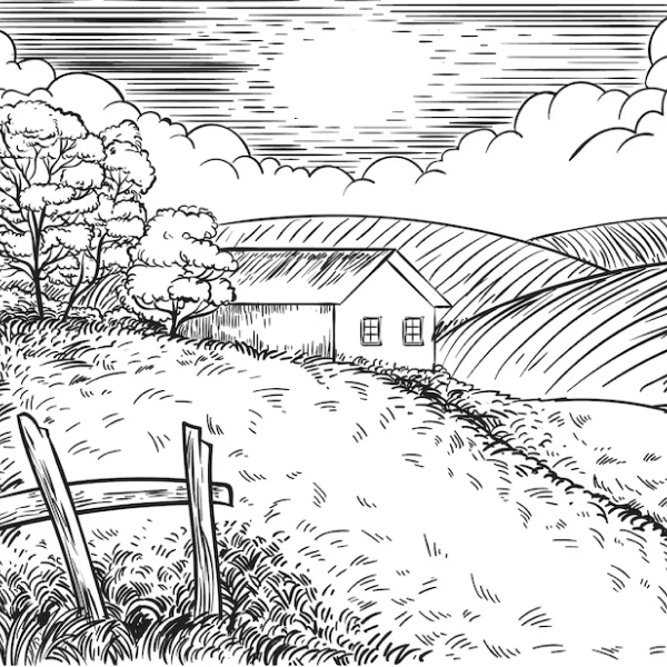 Nature drawing reference 17