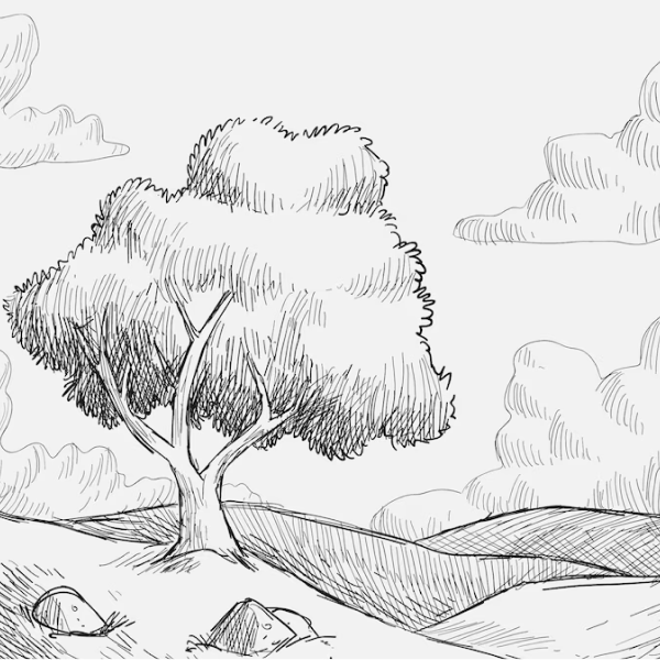Nature drawing reference 18