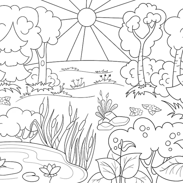 Nature drawing reference 24