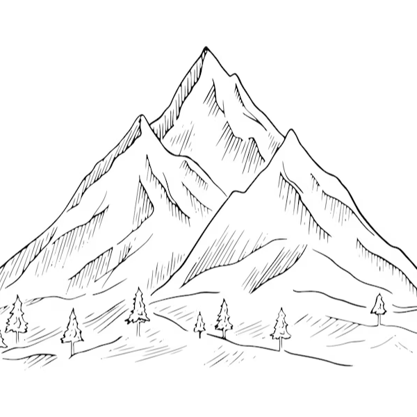 Nature drawing reference 5