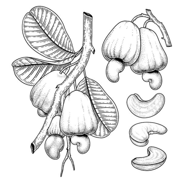 Other drawing reference 49