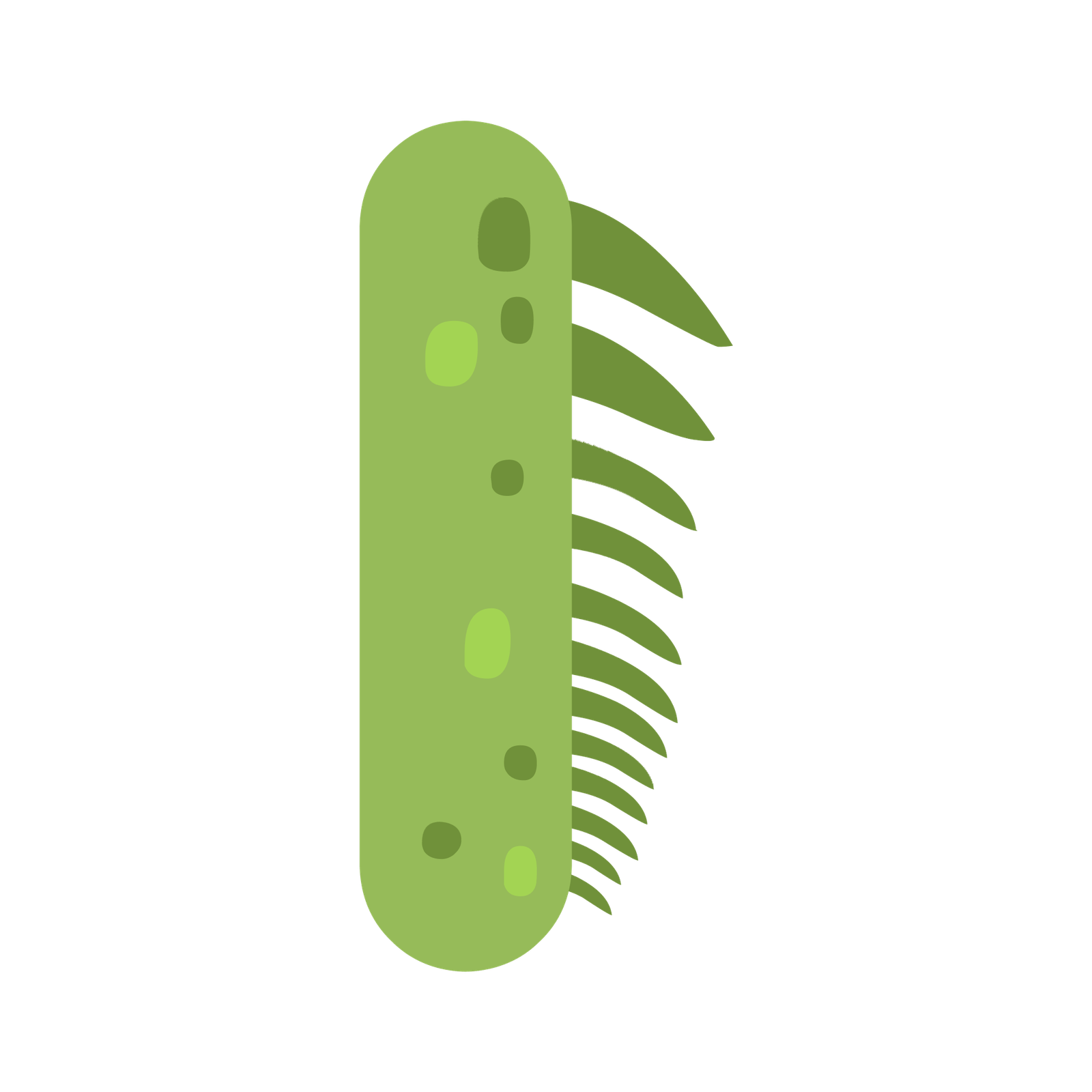 Iguana