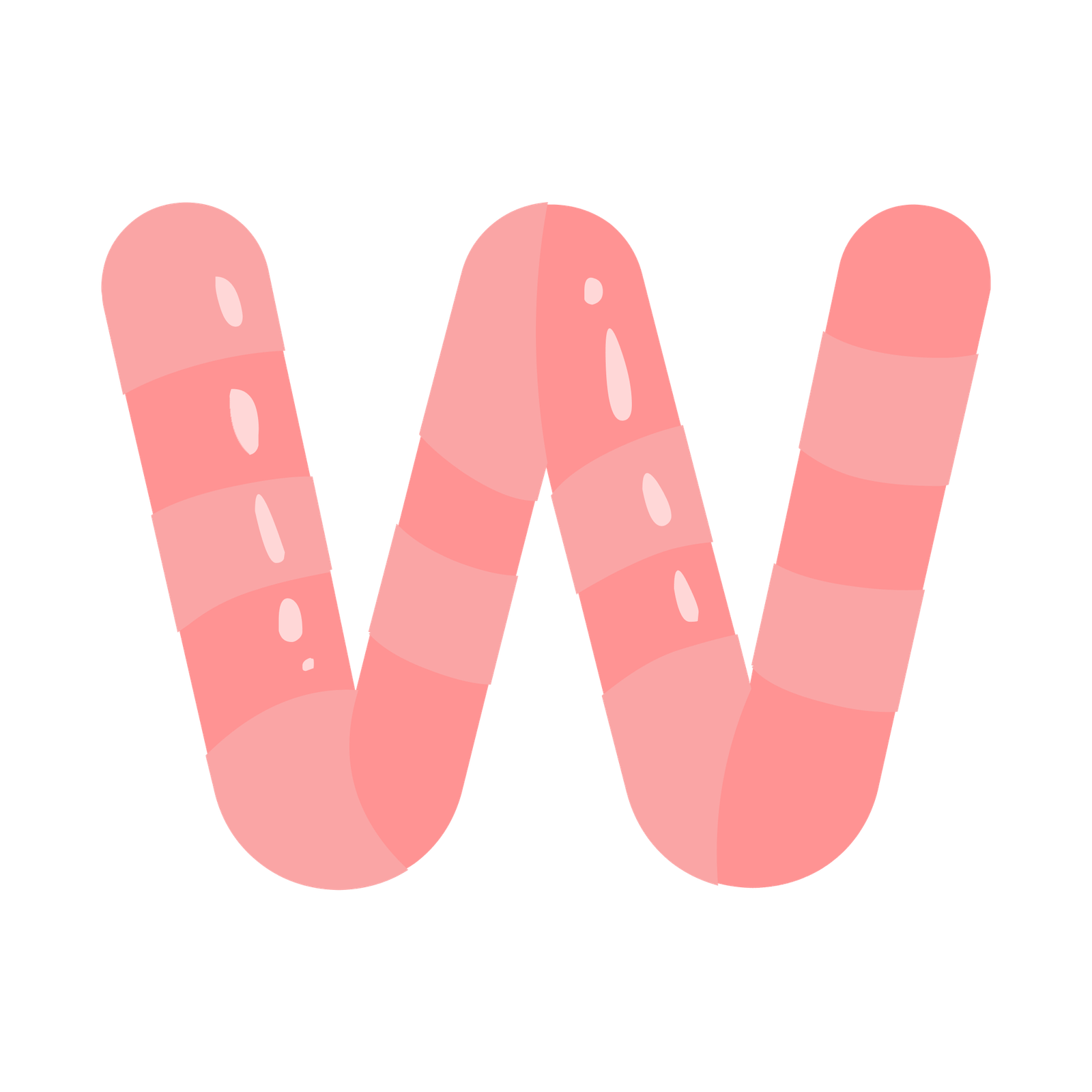 Worm