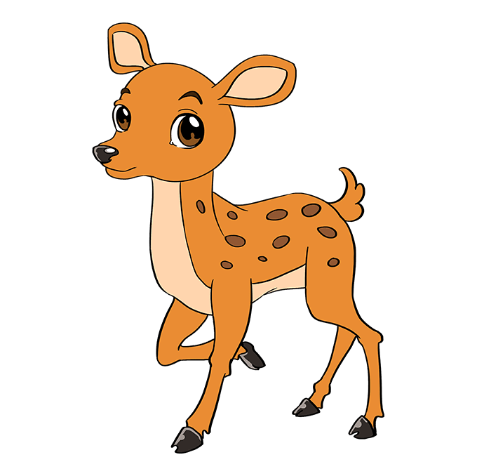 Baby Deer