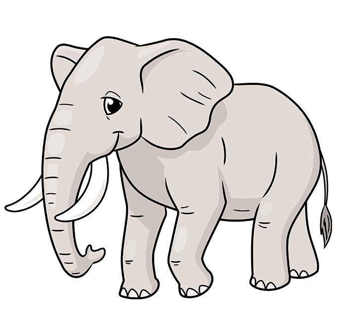 Basic Elephant