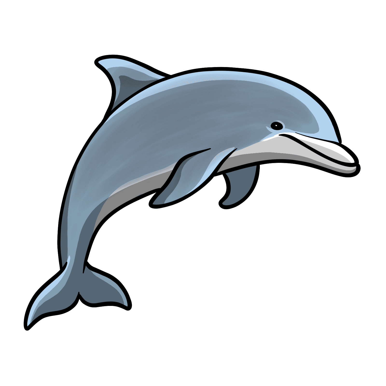 Dolphin
