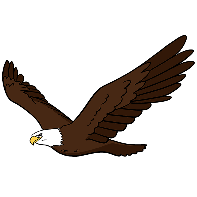 Eagle
