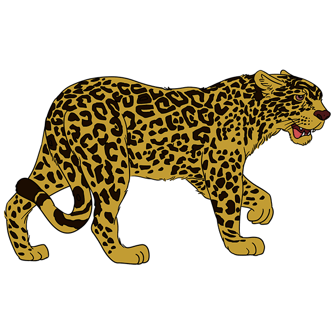 Jaguar