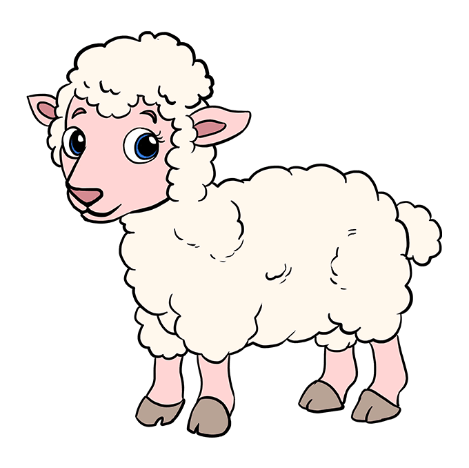 Lamb