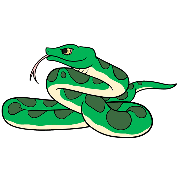 Snake