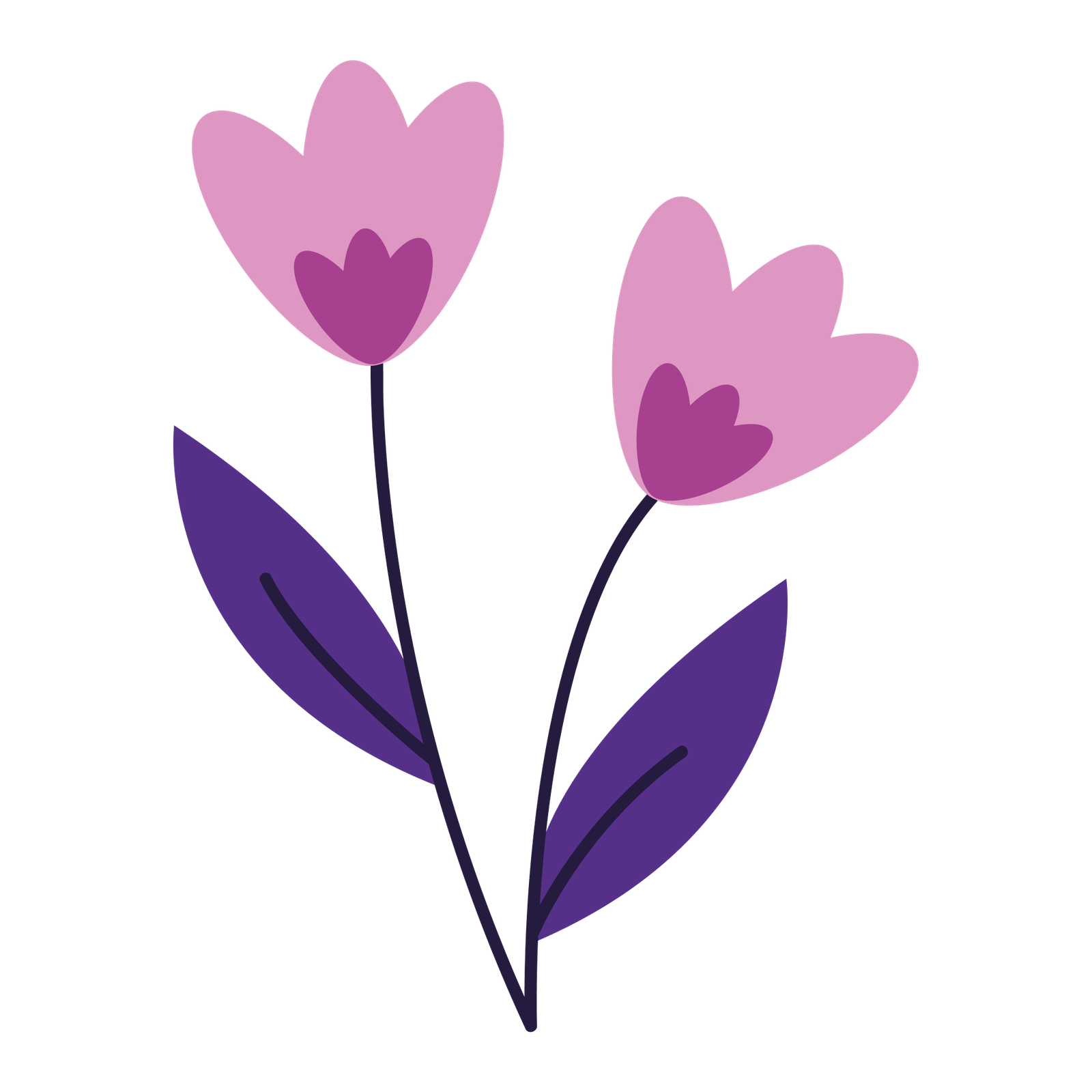 Cute Colorful Flower