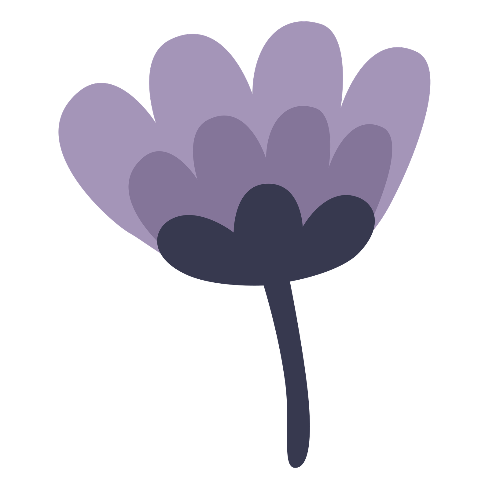 Impasto Tulip 2