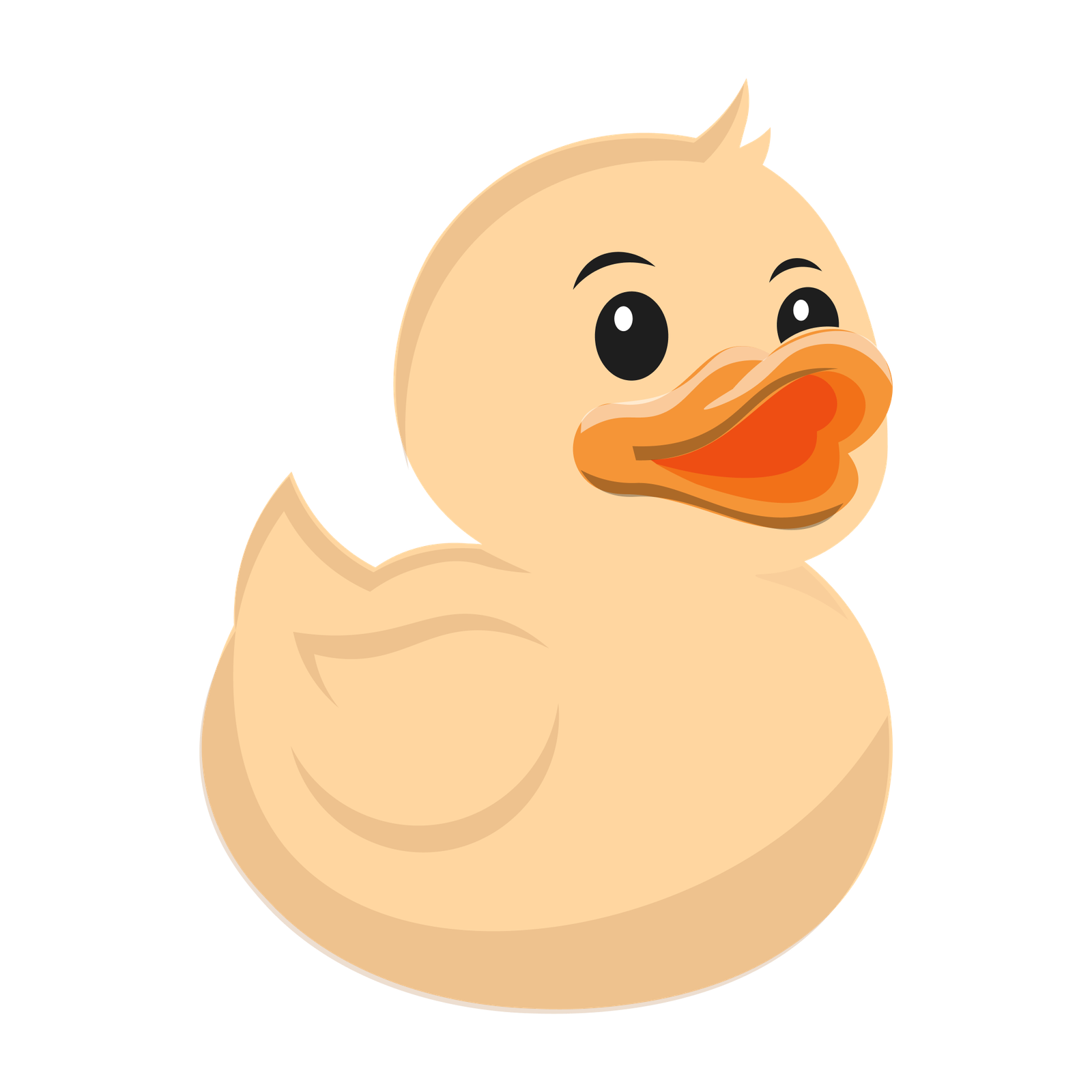 Duck