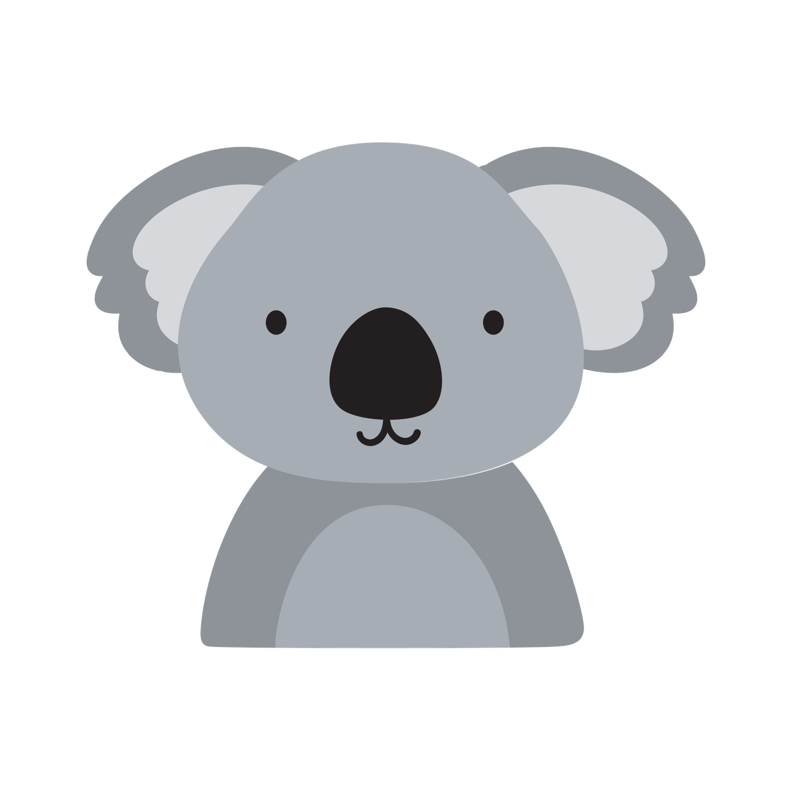 Racoon