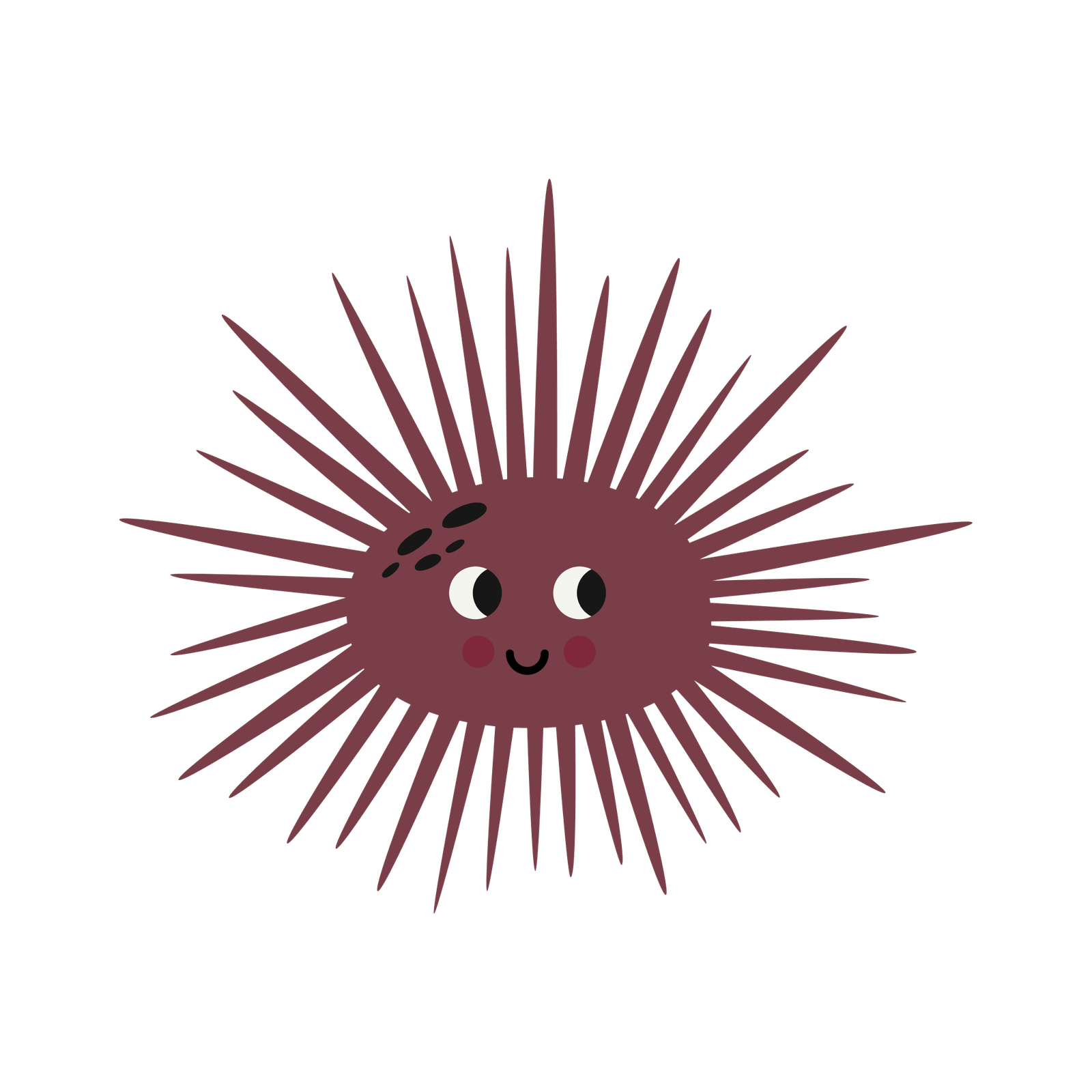 Sponch
