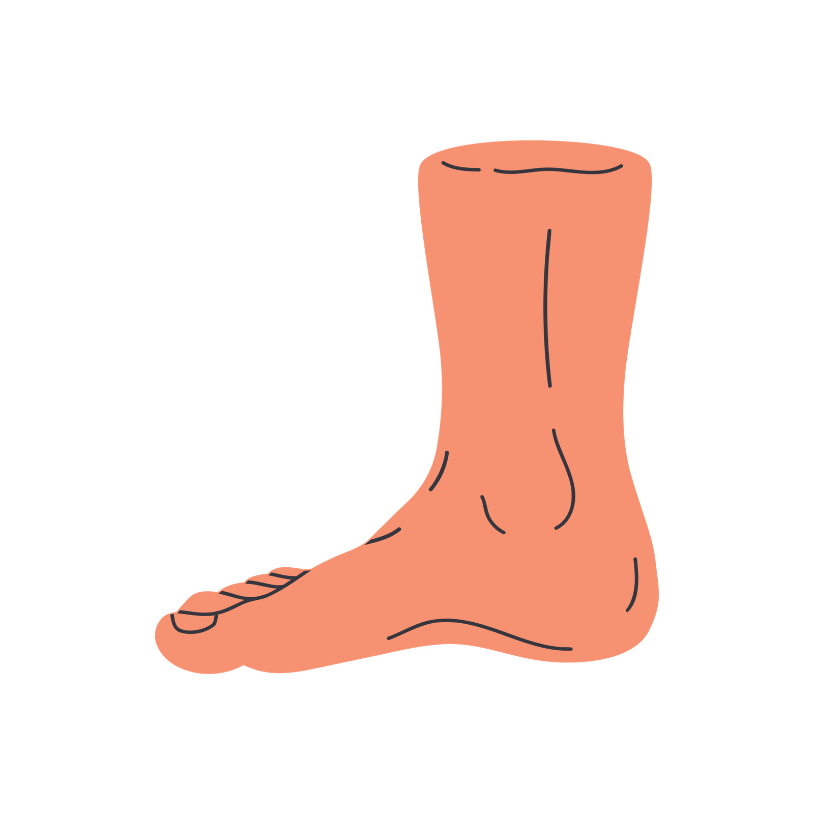 Legs_three