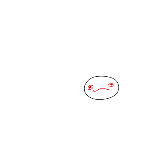 墨西哥钝口螈 — 步骤 2