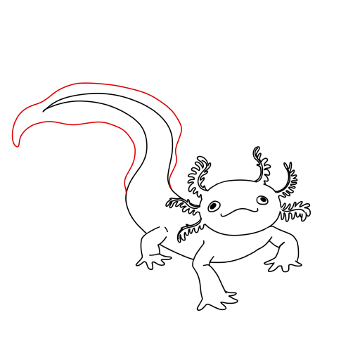 Axolotl