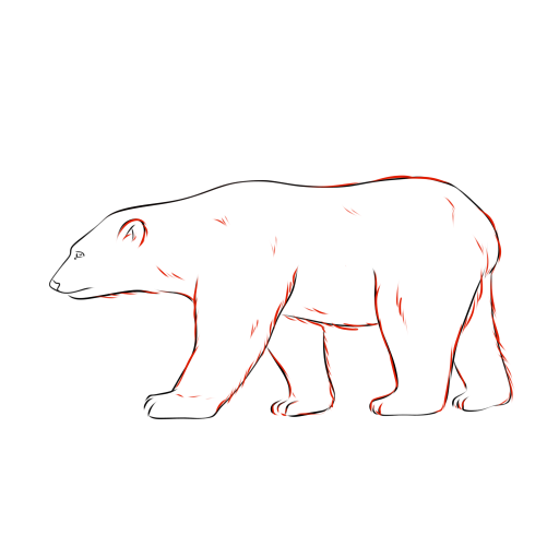 Bear — step 10