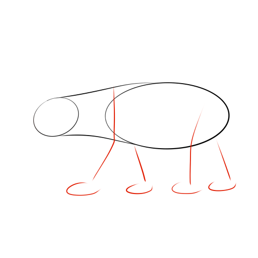 Bear — step 3