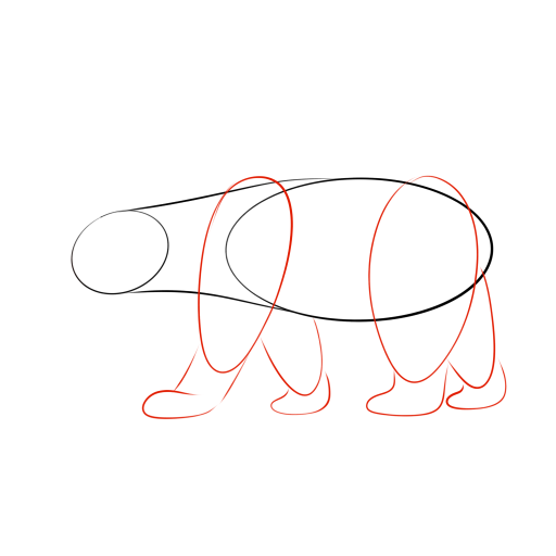 Bear — step 4