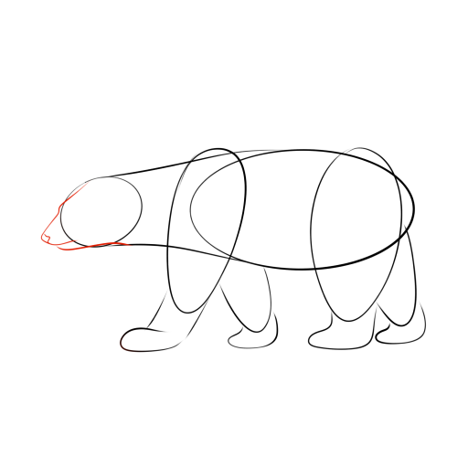 Bear — step 5