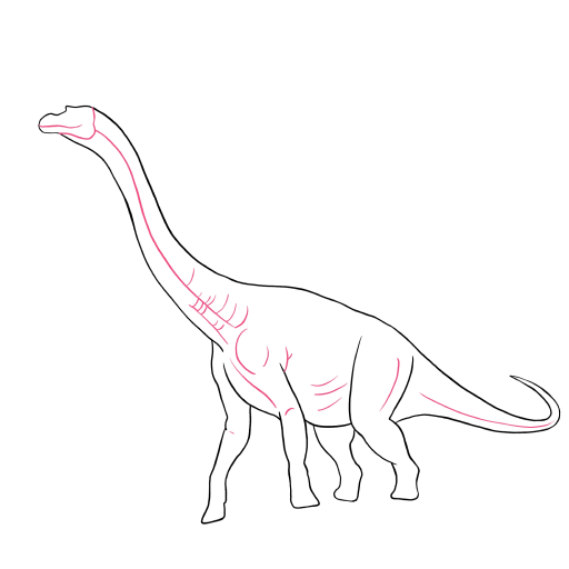 Brachiosaurus — step 4