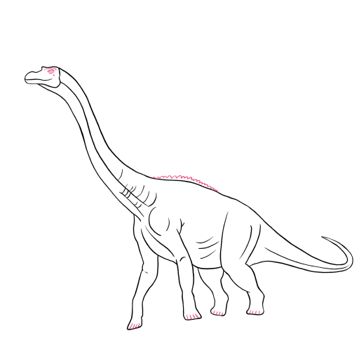 Brachiosaurus — step 5