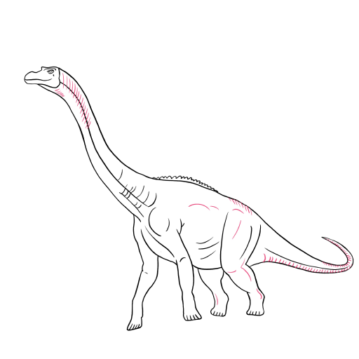 Brachiosaurus — step 6
