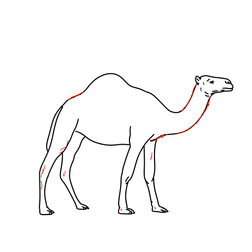 Camel — step 11