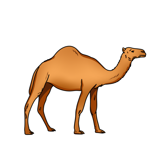 Camel