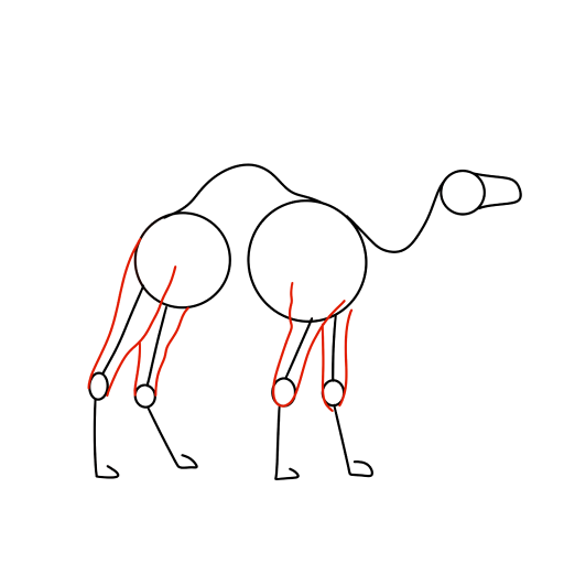 Camel — step 5