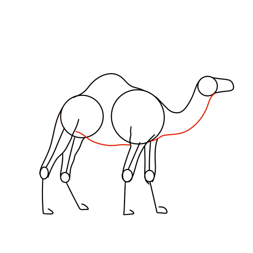 Camel — step 6