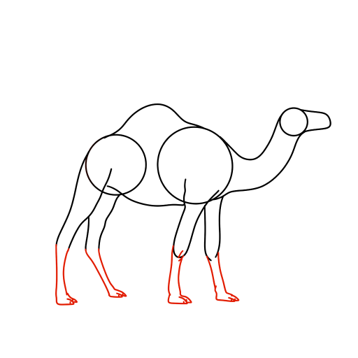 Camel — step 7