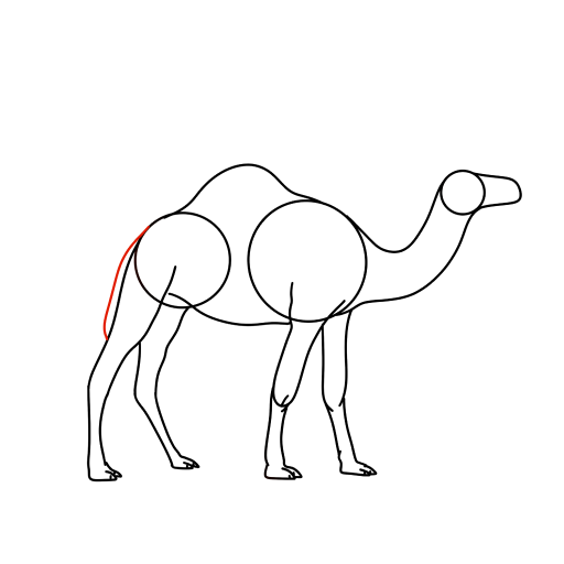 Camel — step 8