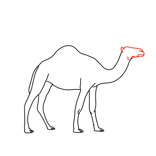 Camel — step 9