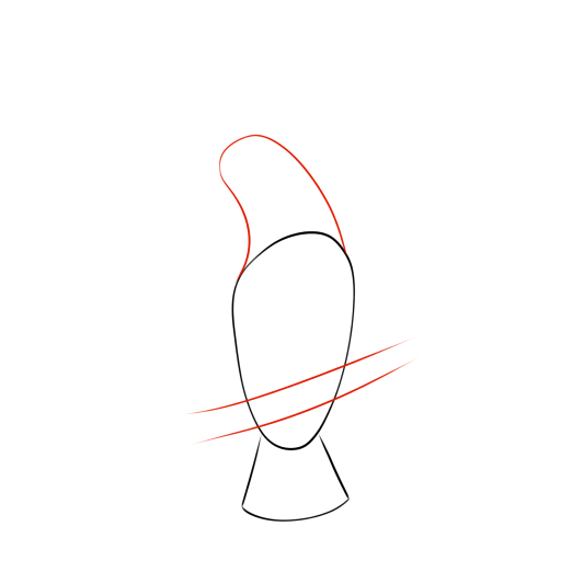 Cockatoo — step 2