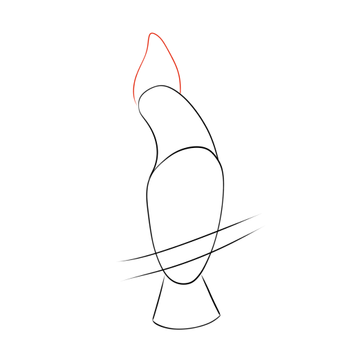 Cockatoo — step 3