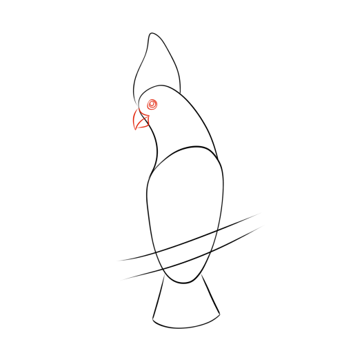 Cockatoo — step 4