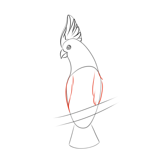 Cockatoo — step 6