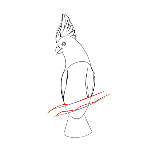 Cockatoo — step 7