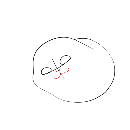 Cute Seal — step 4