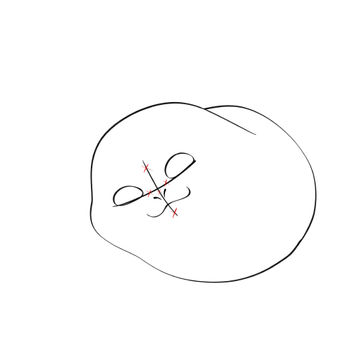 Cute Seal — step 5